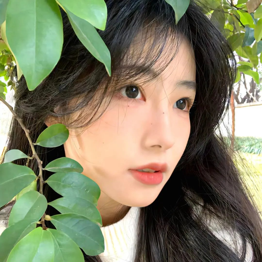 青春之囚